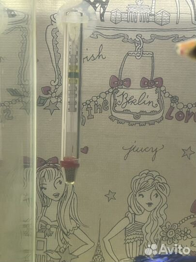 Аквариумные рыбки