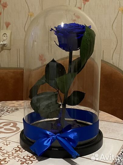 Вечная роза в колбе