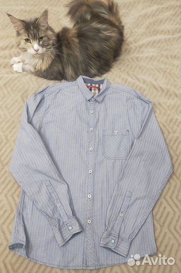 Рубашка школьная Ostin, Acoola 158см