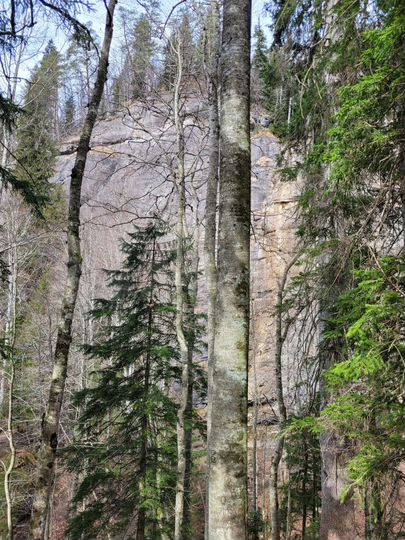 Участок 8 сот. (ИЖС)