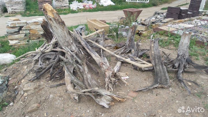 Коряги и корни