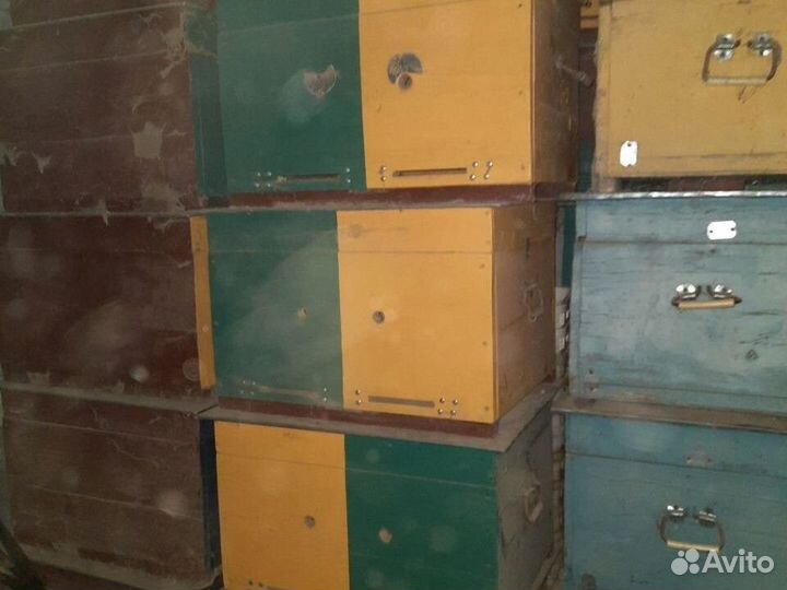 Улей для пчел