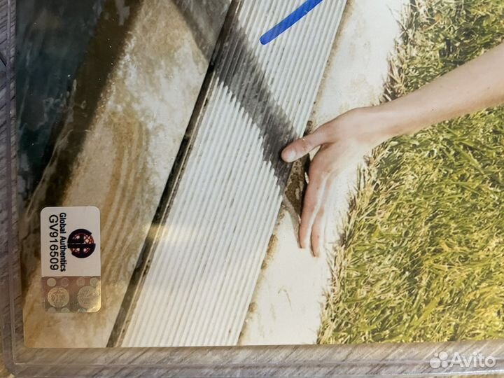 Автограф Krysten Ritter COA