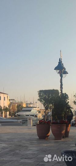 Свой человек на Кипре