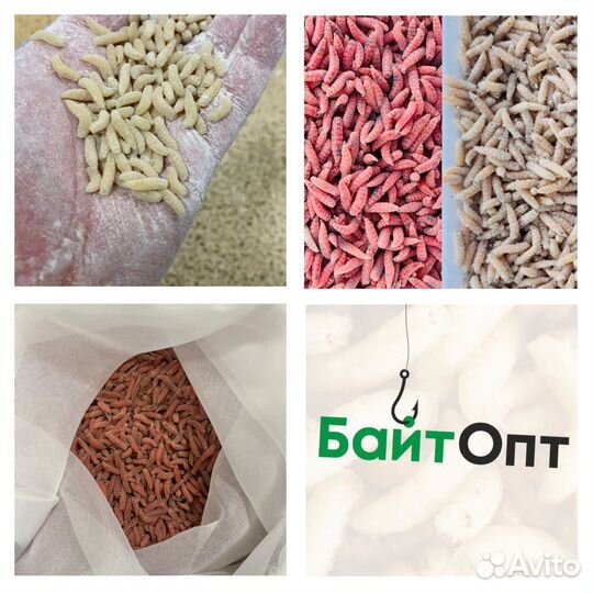 Опарыш оптом