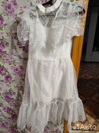 Женская одежда