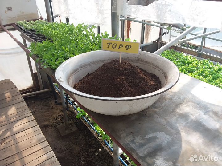 Биогумус. Торф