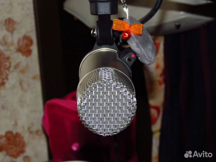Rode Broadcaster Австралия студийный, shure sm7b