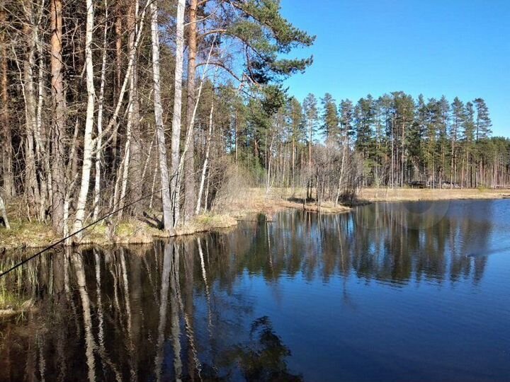 Участок 6 сот. (СНТ, ДНП)