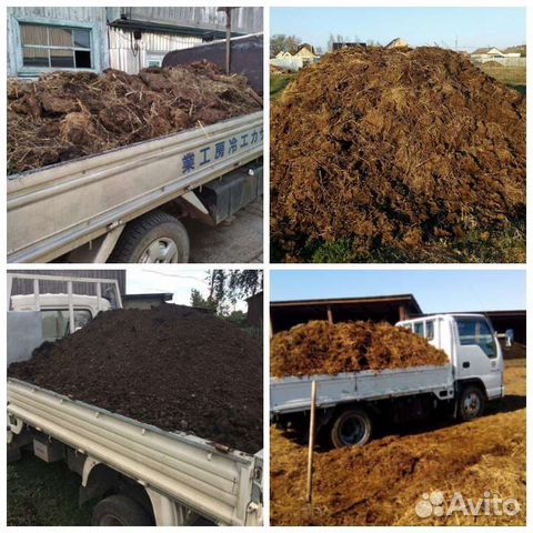Навоз,перегной коровий доставка