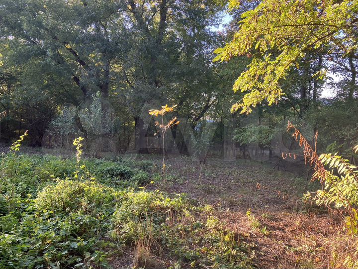 Участок 6 сот. (СНТ, ДНП)