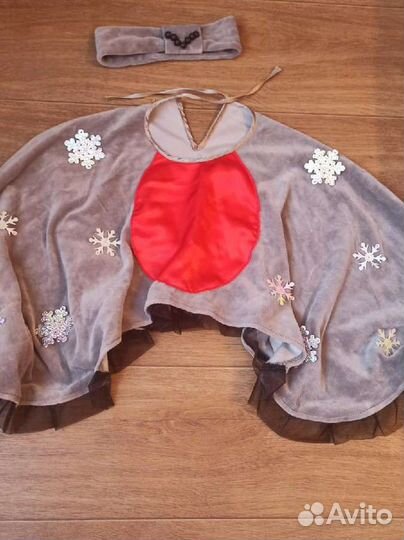 Костюм: снегирь