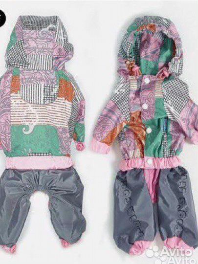 Новая ветровка для собаки девочки