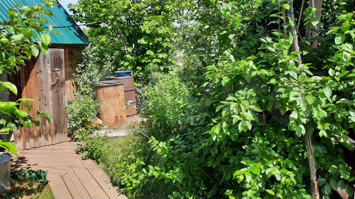 Участок 6,3 сот. (СНТ, ДНП)