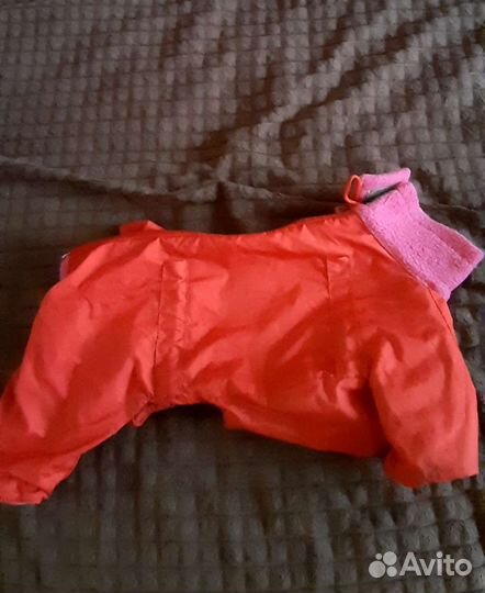 Дождевик для маленькой собаки