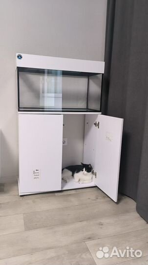 Аквариум с тумбой новый 140л