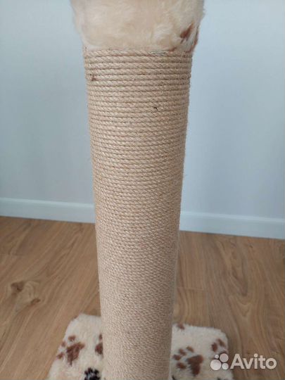 Когтеточка