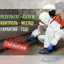 Уничтожение тараканов клопов плесени грызунов