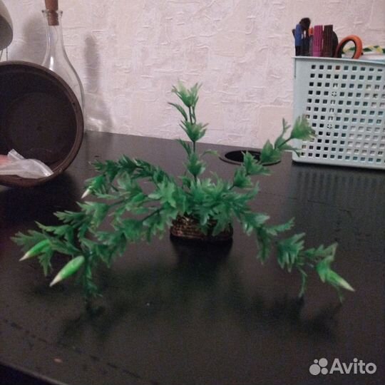 Вещи для улиток