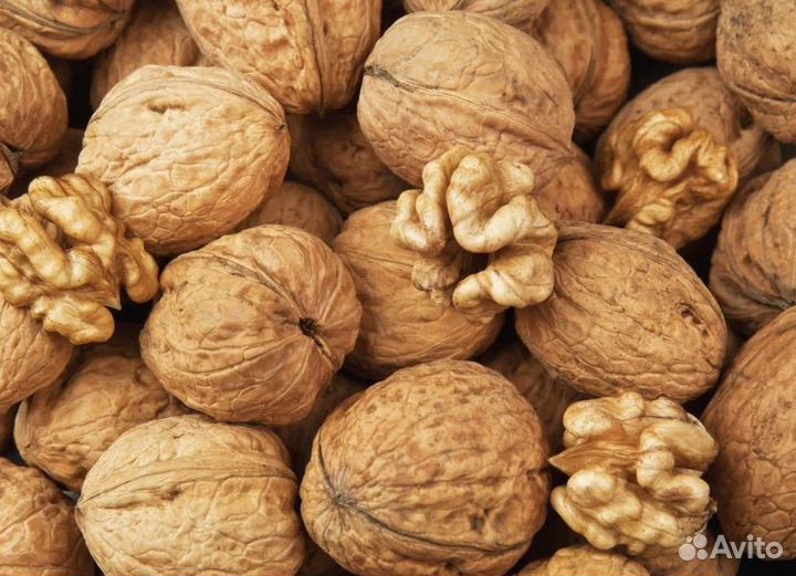 Грецкий орех