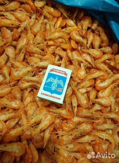 Креветка азовская опт и розница