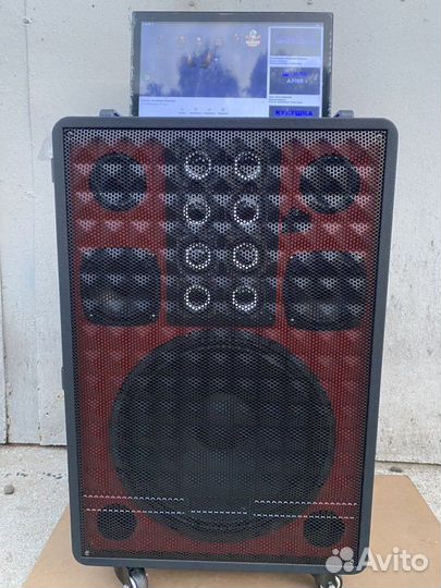 Комбоусилитель караоке с монитором