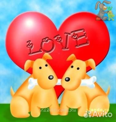 Инструктор по вязкам собак