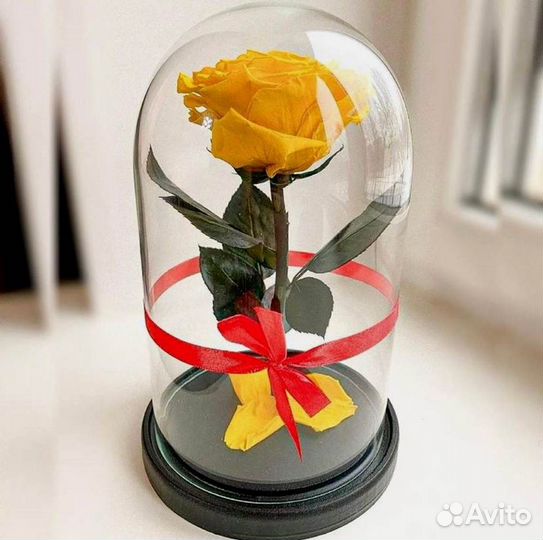 Роза в колбе. Качественная