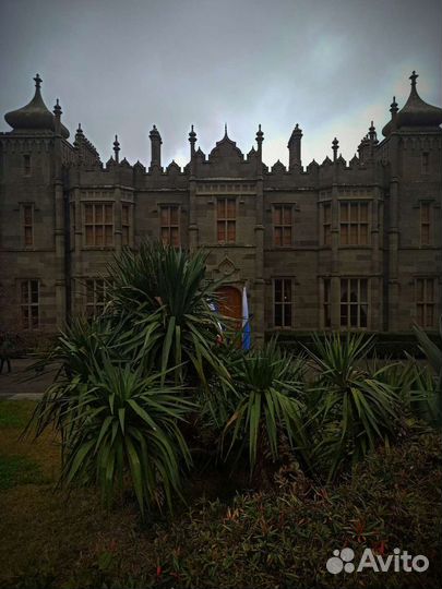 Индивидуальная экскурсия в Воронцовский дворец