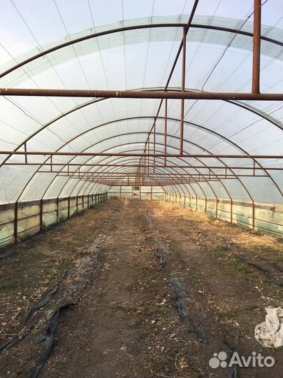 Парники теплицы бу