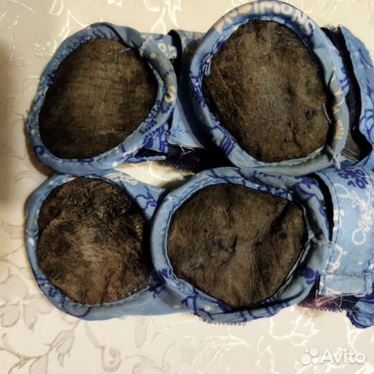 Обувь/одежда для животных