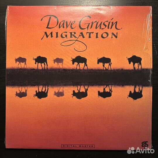 Dave Grusin – Migration (Швейцария 1989г.)