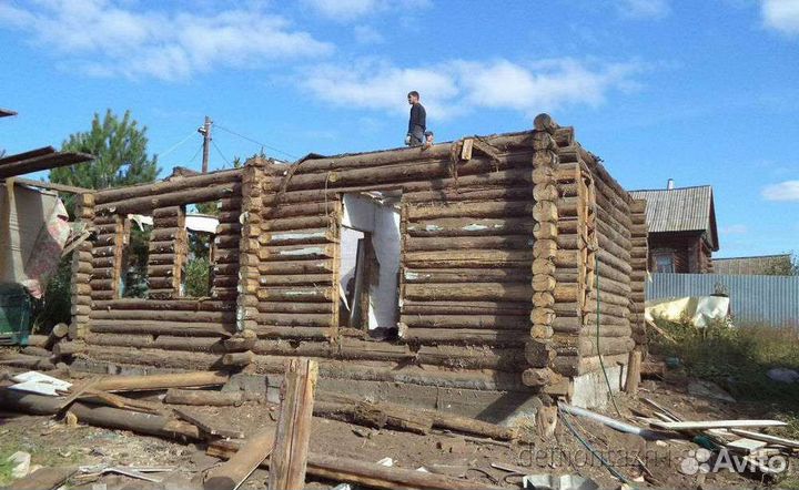 Покос травы триммером, очистка участка от деревьев