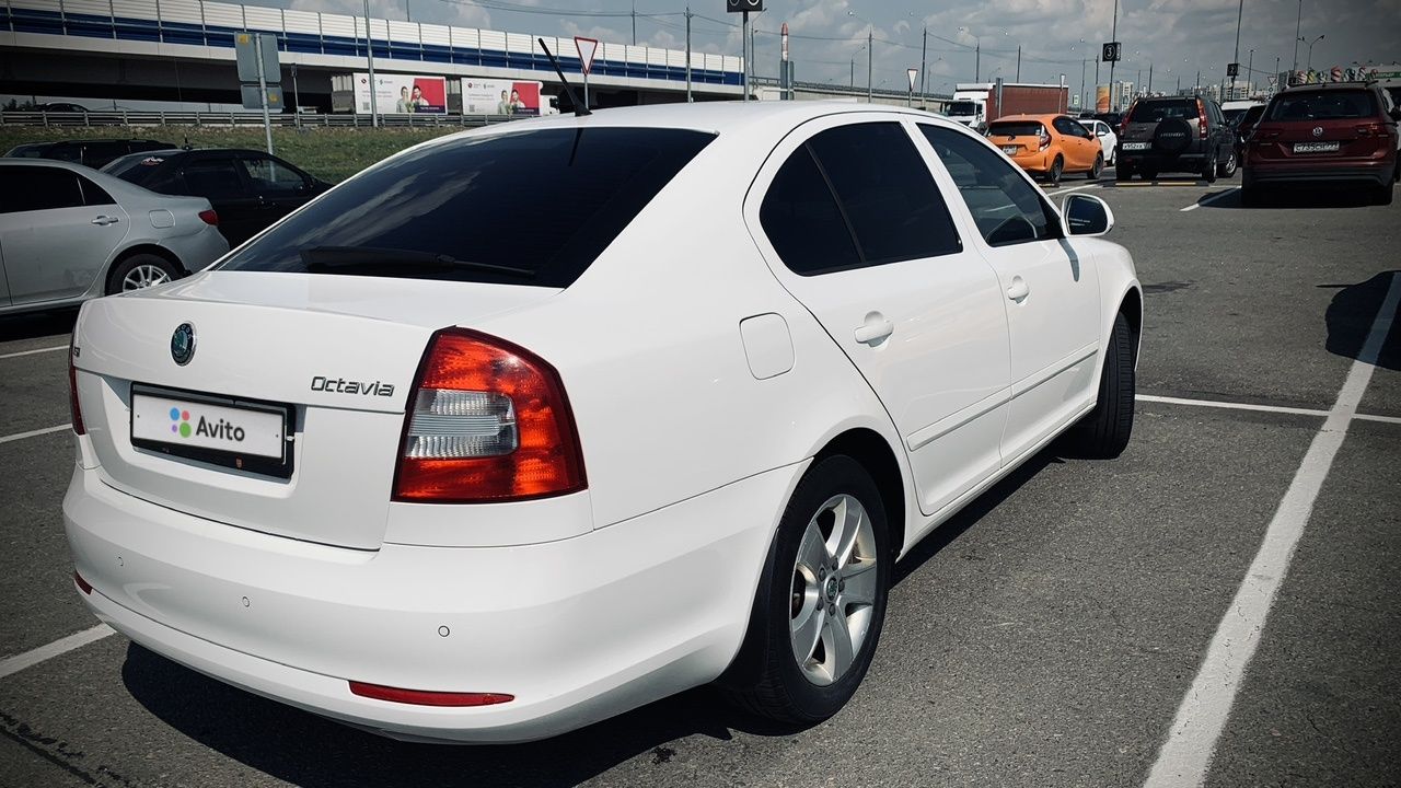 Skoda Octavia: фото владельца