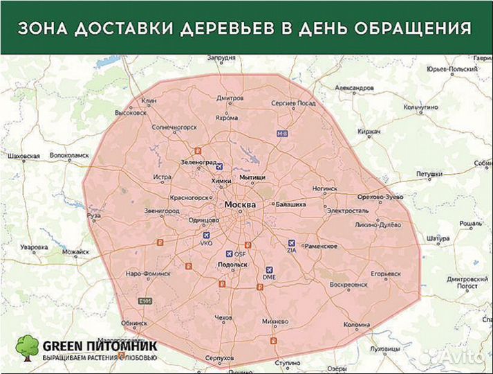 Туя в ассортименте:Смарагд,Брабант,Колумна