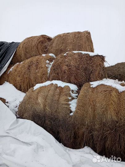 Сено в тюках