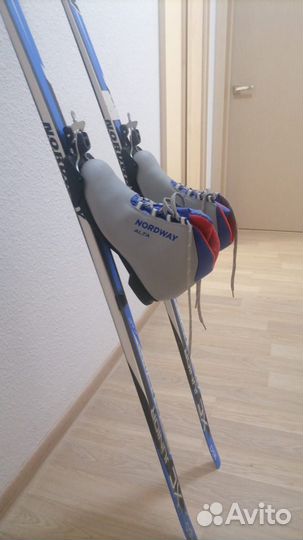 Беговые лыжи