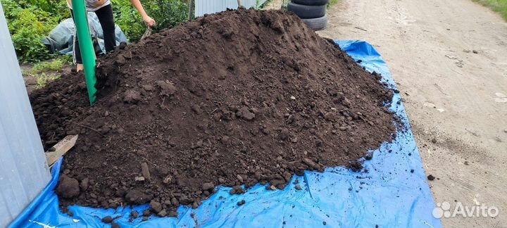Перегной коровий с доставкой
