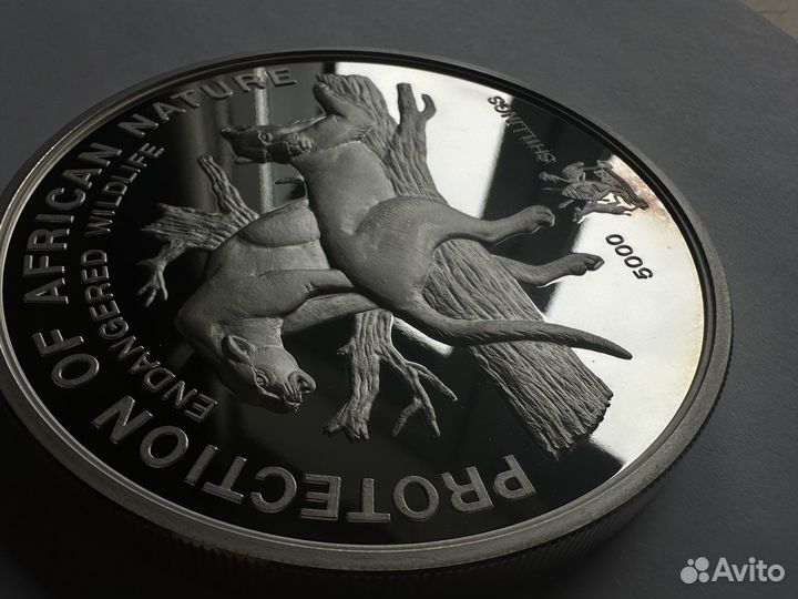 Серебрянная монета 500 грам, 5000 шилингов