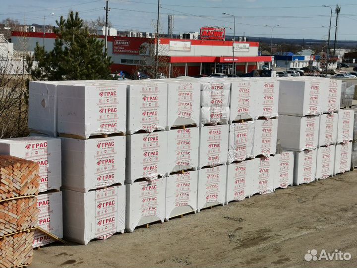 Грас стеновой, перегородочный