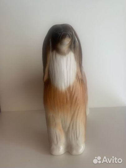 Собака Колли Лфз СССР