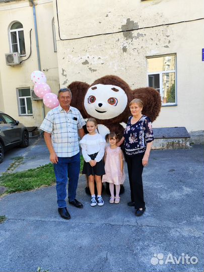 Аниматор, белый медведь, панда, ушастик и другие