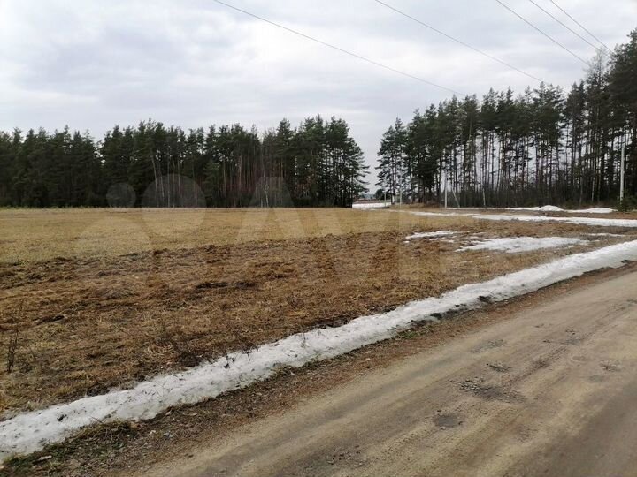 Участок 4,2 га (СНТ, ДНП)