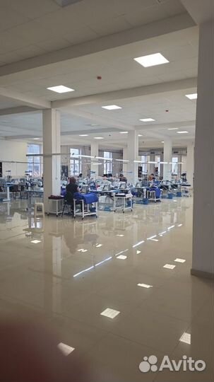 Пошив футболок оптом