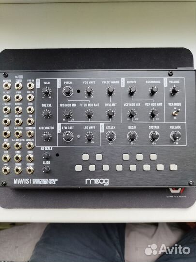 Аналоговый синтезатор Moog Mavis