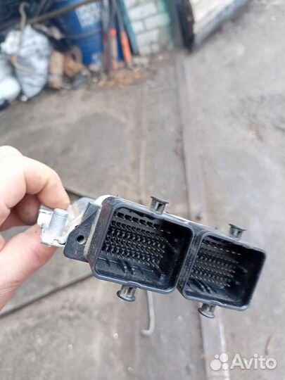 Эбу на буханку