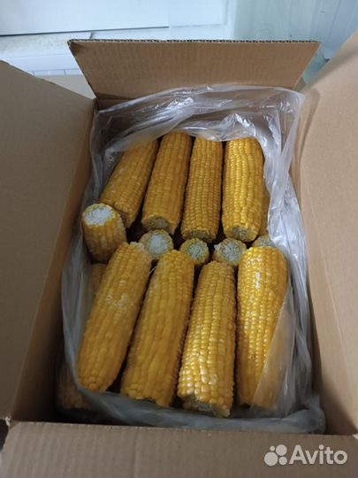 Зерно из Кукурузы замороженная