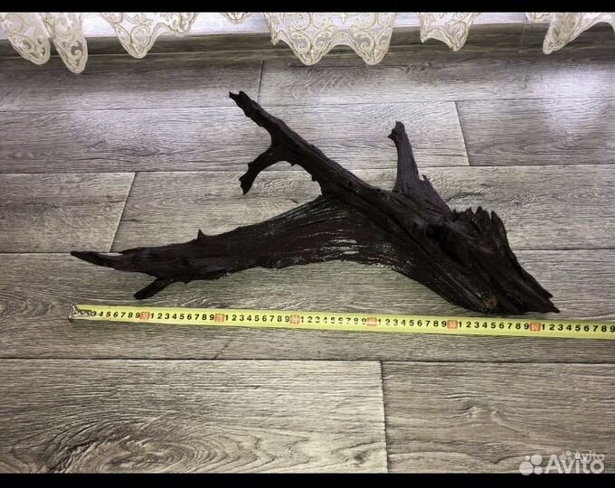 Коряга мангровая