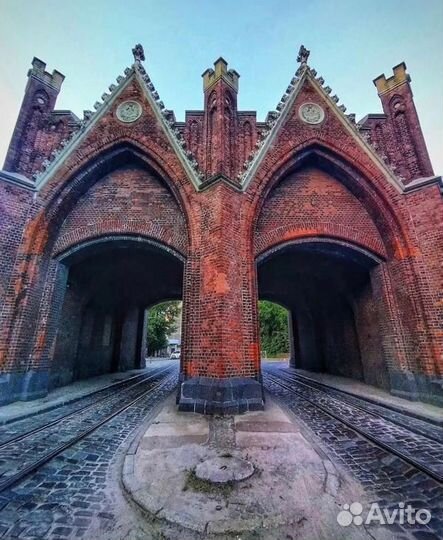 Индивидуальная экскурсия по Калининграду на авто