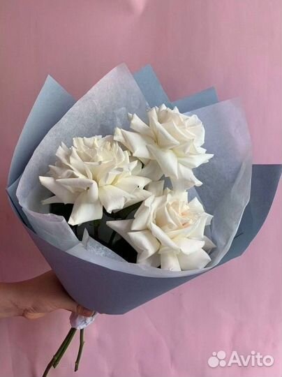 Французские розы белый букет